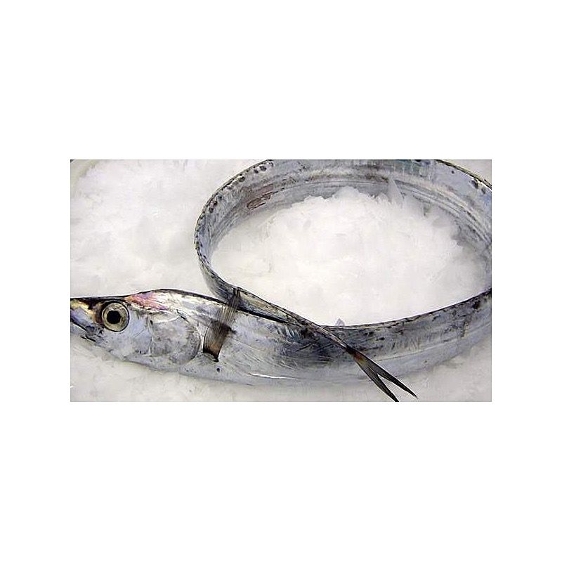 SABLE 1-2 KG/PZ