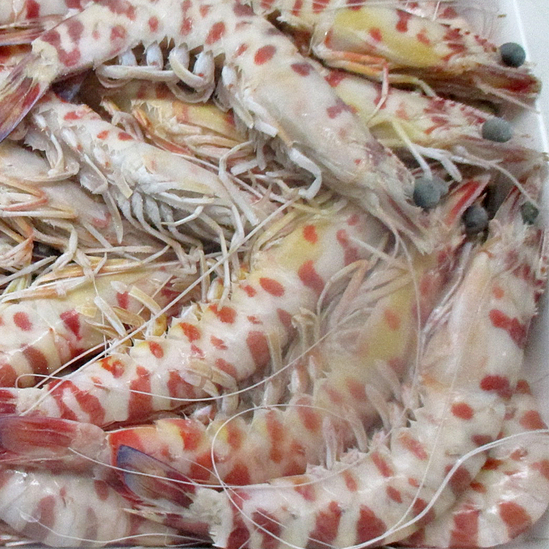 LANGOSTINO TNZ A 20-30 12/800g