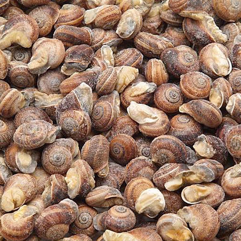 CARGOL VINYAL CUIT.4/2.5Kg