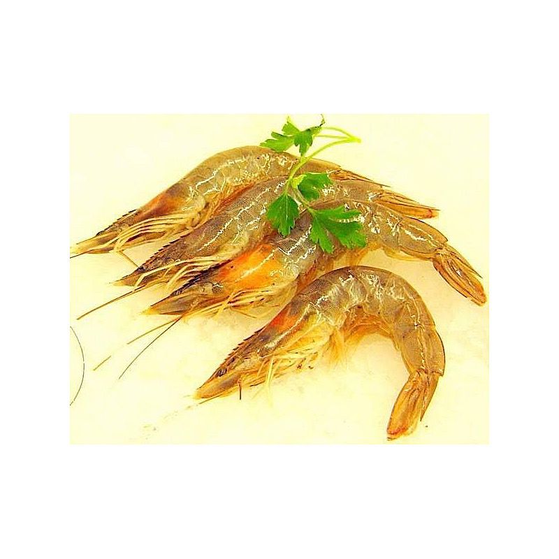 LLANGOSTI CUIT REF.30-40u/kg. (2K/CA)