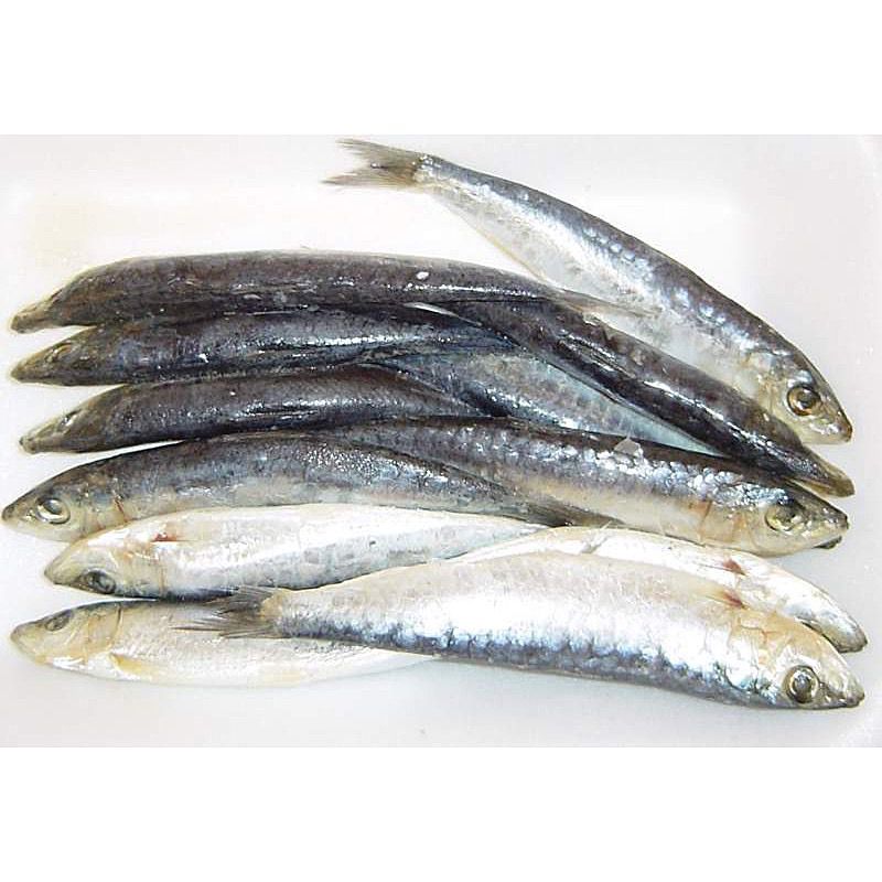 SARDINA COSTA SALADA CAJA 44ud RF.