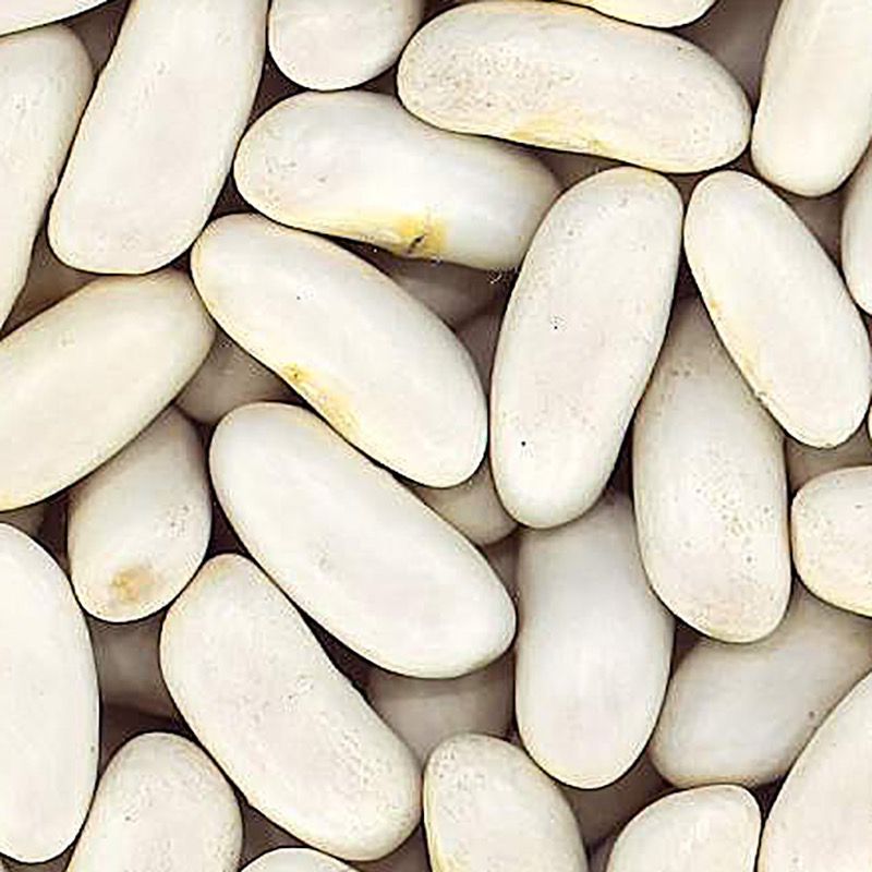 ALUBIA RIÑÓN (CANELLINI) BOLSA 4/5Kg