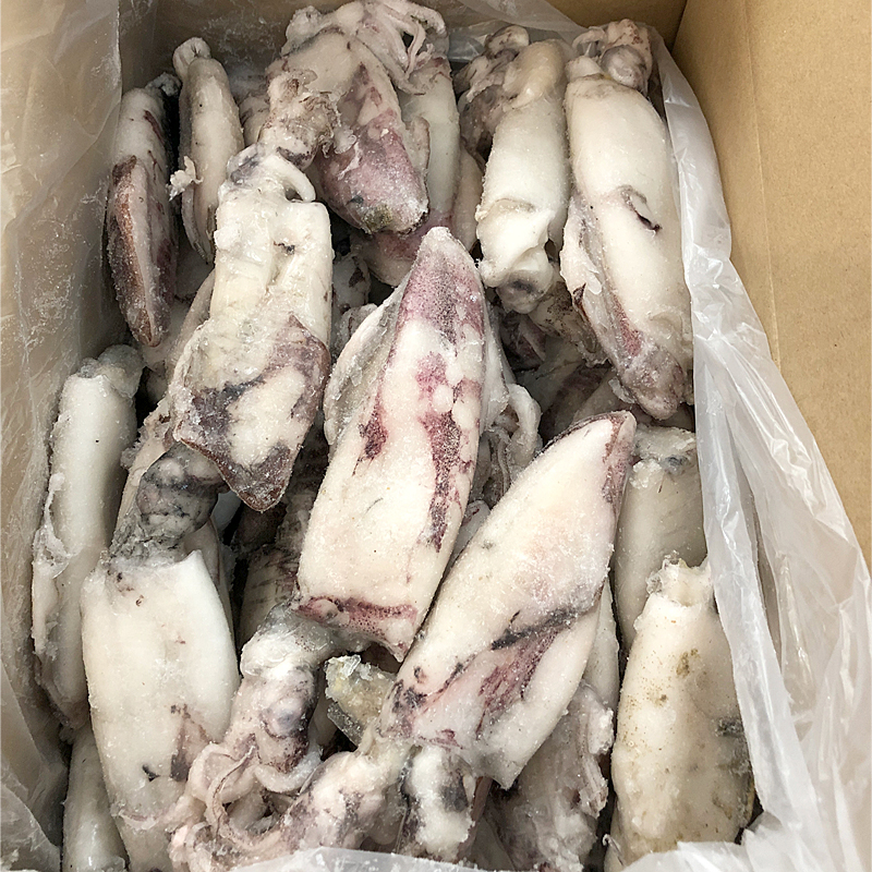 CALAMAR MARRUECOS IQF. 8% 3P(11-16)5kg.