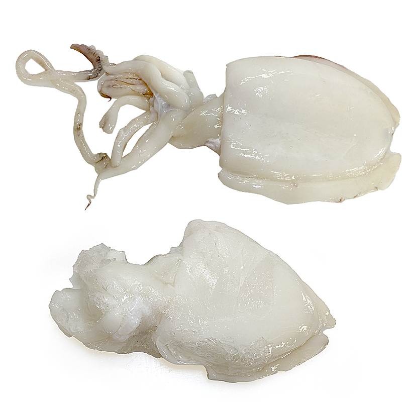 SEPIA LIMP-G-25%(450-650)IQF.6kg.