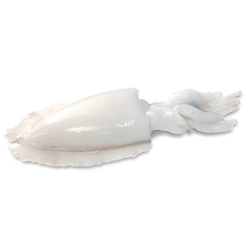 SÍPIA NETA-M-25%(250-400)H-6kg